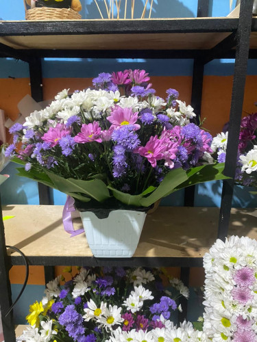 Toko Bunga Terbesar King Florist dprdprovinsikalimantantengah – Pilihan Utama Florist Profesional di